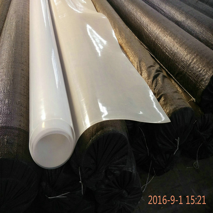 海南1.0mmEVA防水板凸壳防水板