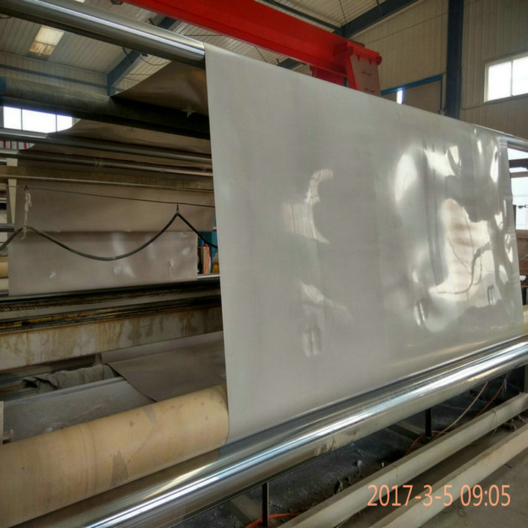 广东1.5mmEVA防水板高分子防护排水异形片