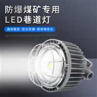 鸿奕高亮光矿用隔爆型LED巷道灯DGS50/127L(A) 煤矿专用防爆灯