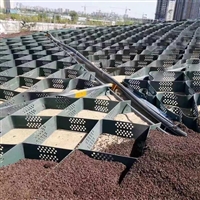 土工格室 蜂巢约束系统 HDPE河道护坡土工格室