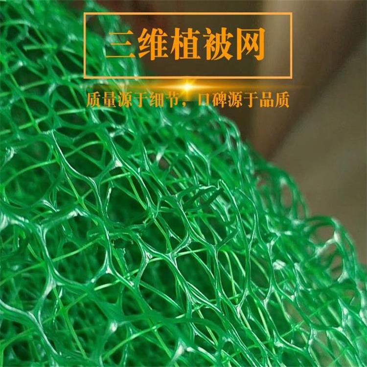 三维土工网 EM3型三维植被网厂家
