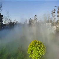 人造雾森系统 景区雾森系统 景观造雾设备现场勘测