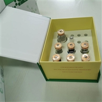 人尿苷二磷酸pu萄糖神经酰胺pu萄糖基转移酶(UGCG)ELISA试剂盒