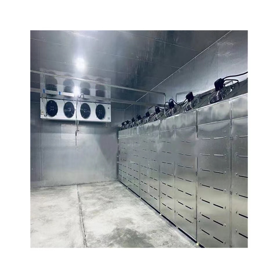 冻虾低温高湿解冻机 澳洲羊肉缓化设备 鸡背低温高湿解冻机