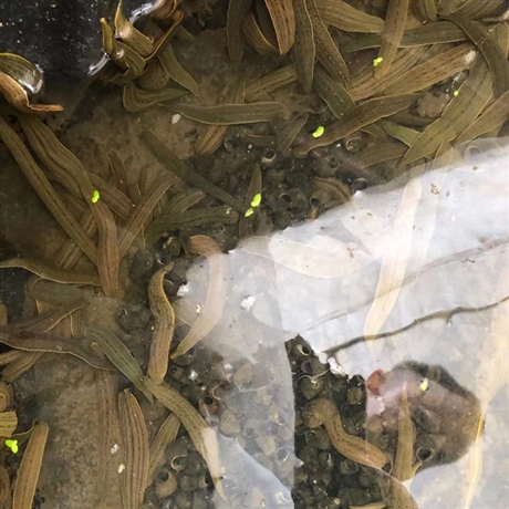 剥离离型纸 100克红3m超轻离底纸 贴各种双面】价格,厂家,水蛭-搜了网