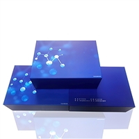 小鼠维生素B6、机纯ELISA试剂盒