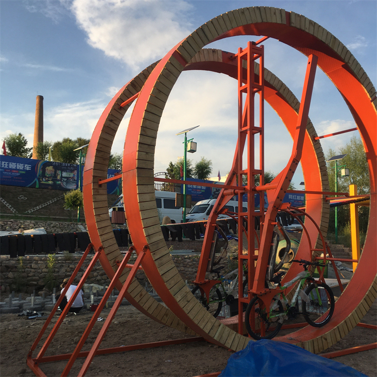 户外双人无动力360度旋转网红自行车