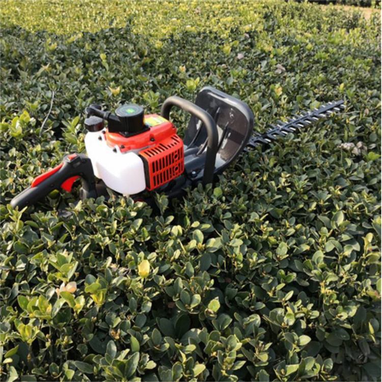 金银花苗圃修剪机 修枝整形手持式绿篱机