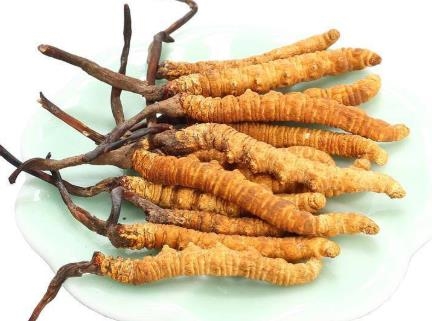 連山永和回收冬蟲(chóng)夏草多少錢一盒,回收1800條冬蟲(chóng)夏草公司