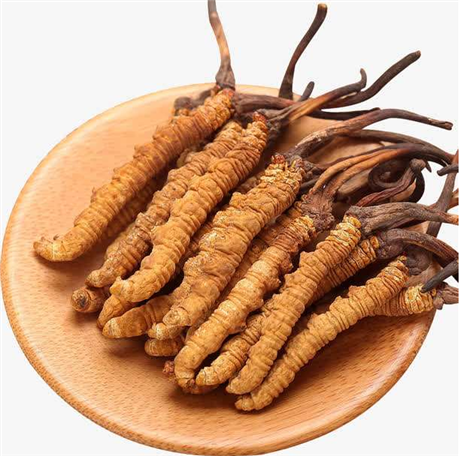 清城飛來(lái)峽回收冬蟲(chóng)夏草多少錢一盒,回收1400條冬蟲(chóng)夏草公司