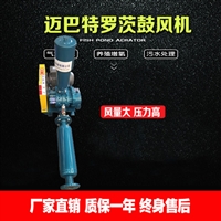 三叶罗茨风机型号 污水处理罗茨风机定做 批发市场 大尺寸