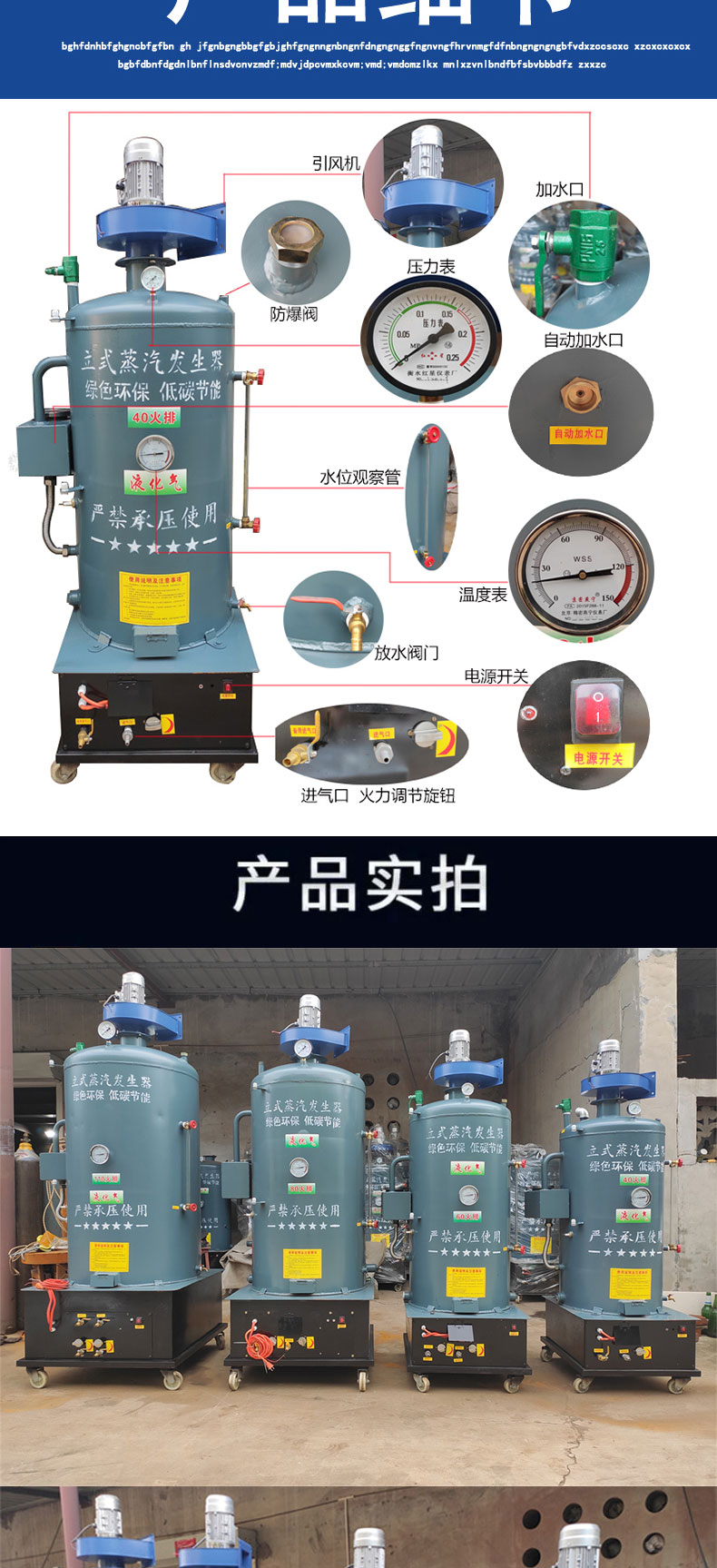 燃氣鍋爐蒸饅頭鍋爐節能家用採供暖燒柴釀酒蒸糧食煮豆漿豆腐蒸饅頭