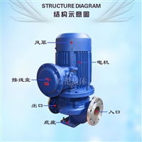 广州离心油泵 立式不锈钢管道泵 YG65-250IB