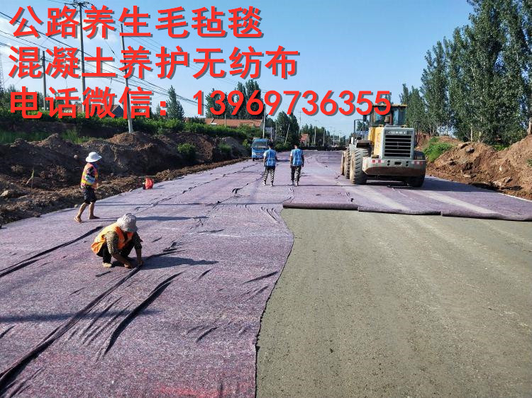 水稳层公路混凝土养护毛毡土工布无纺布大棚保温毛毡毯