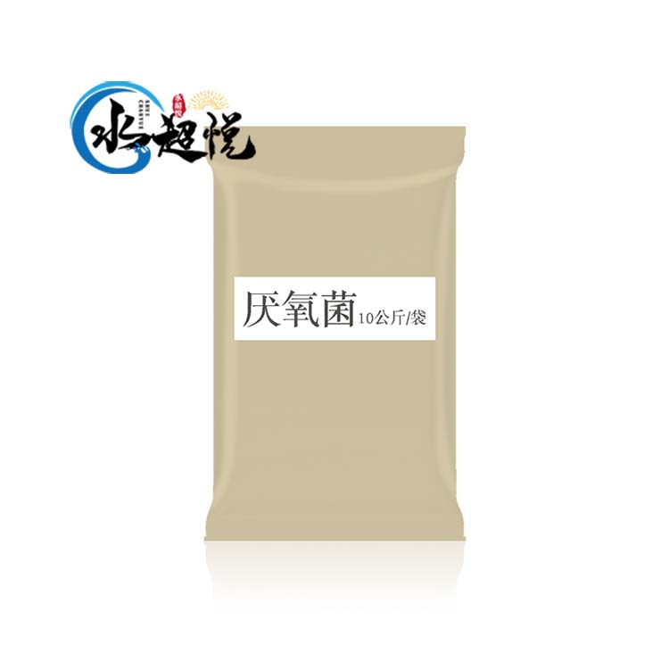 水超悦 活性污泥细菌 活性污泥细菌菌种 硝化细菌批发