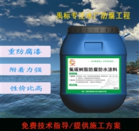 抗臭氧氟碳防腐涂料 耐紫外线 消防水池防护