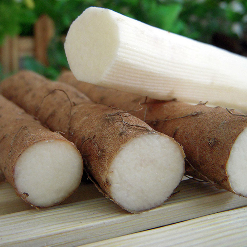 5斤新鲜垆土铁棍山药礼盒装 正宗河南焦作 温县怀山铁杆淮山药蔬菜