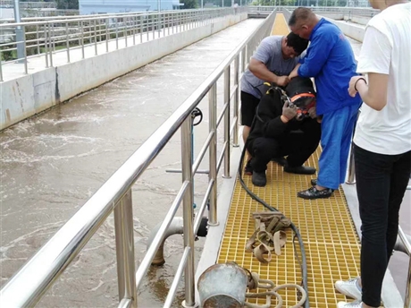 工程新闻摘要：开封市市政桥梁水下探摸检测-加固维修-报价