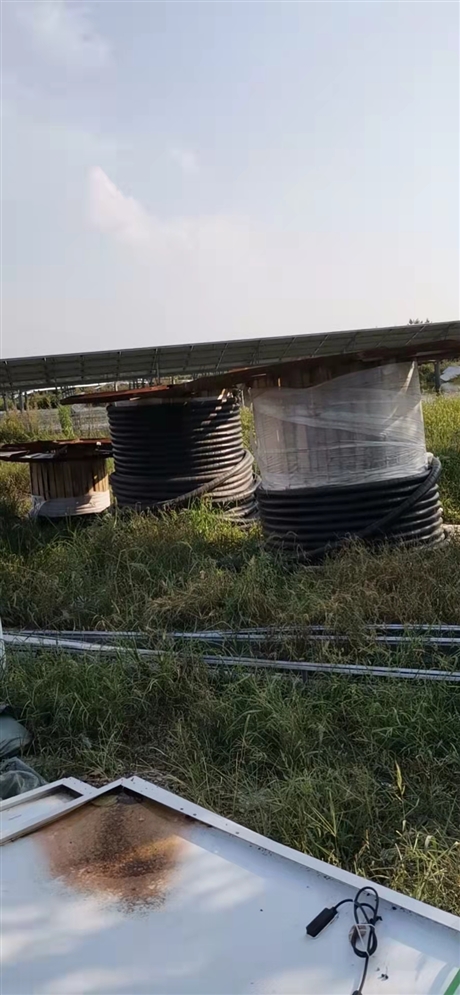 乐山1X630电缆回收每米回收价格 在线解答