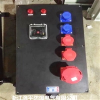 防爆检修箱 8050三防检修箱 不锈钢防爆防腐插座箱 洛平防爆