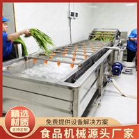 果蔬气泡清洗机 网带式清洗机 气泡式清洗机 高压清洗机 产地货源