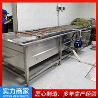 果蔬加工厂全自动蔬菜清洗机 气泡清洗机 商用大型蔬菜清洗机厂家