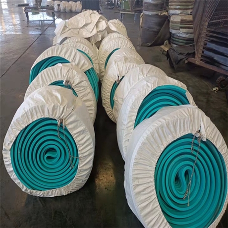 游泳池中埋式塑料止水带eva背贴止水带3006止水材料