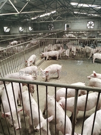 资阳市花卉树木评估公司损失评估