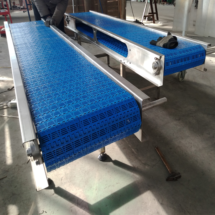 葡萄干分拣输送机 蔬菜清洗输送设备 海鲜塑料链板流水线定制