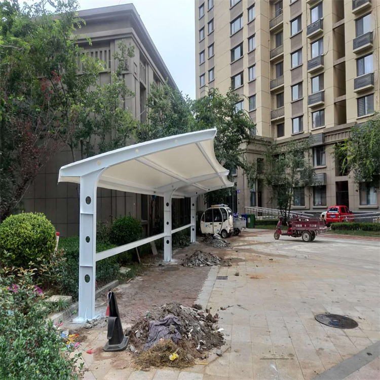 龙尚义轻钢材质户外非机动车膜结构停车棚lsytcp14