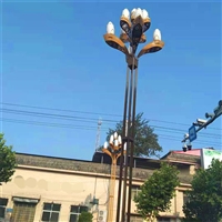 天津高杆景观灯 6米LED组合灯 道路玉兰灯