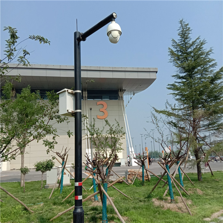 小区圆杆监控杆立杆 3米球机支臂监控杆