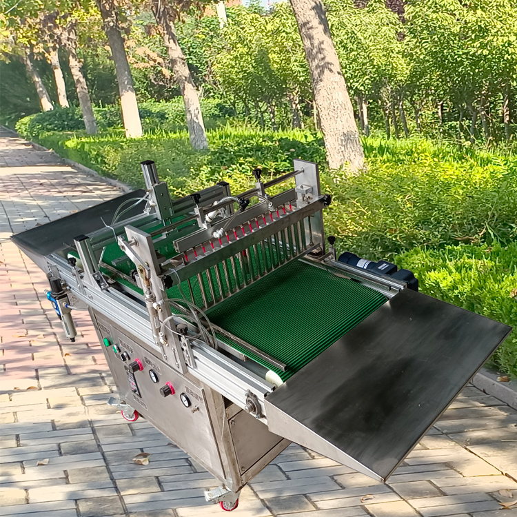 自动穴盘育苗播种机厂家蔬菜穴盘育苗点籽机德州生产