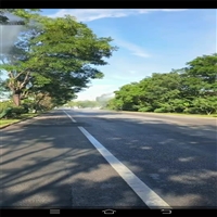 人造雾 冷雾机雾森供应商