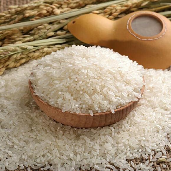 粮食检测饲料检测农产品检测