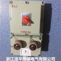 32A防爆检修箱 化工厂防爆动力检修箱 洛平防爆 定制