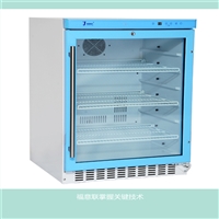 纽扣式锂电池测试专用恒温箱