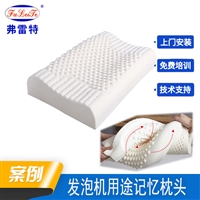 浙江弗雷特生产 发泡设备PU发泡机设备 聚氨酯发泡机 灌注机 枕头发泡机