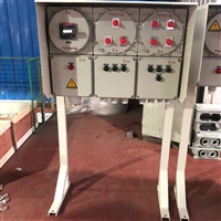 化工厂防爆照明配电箱 钢质立式防爆配电柜 增压型防爆控制柜 洛平防爆