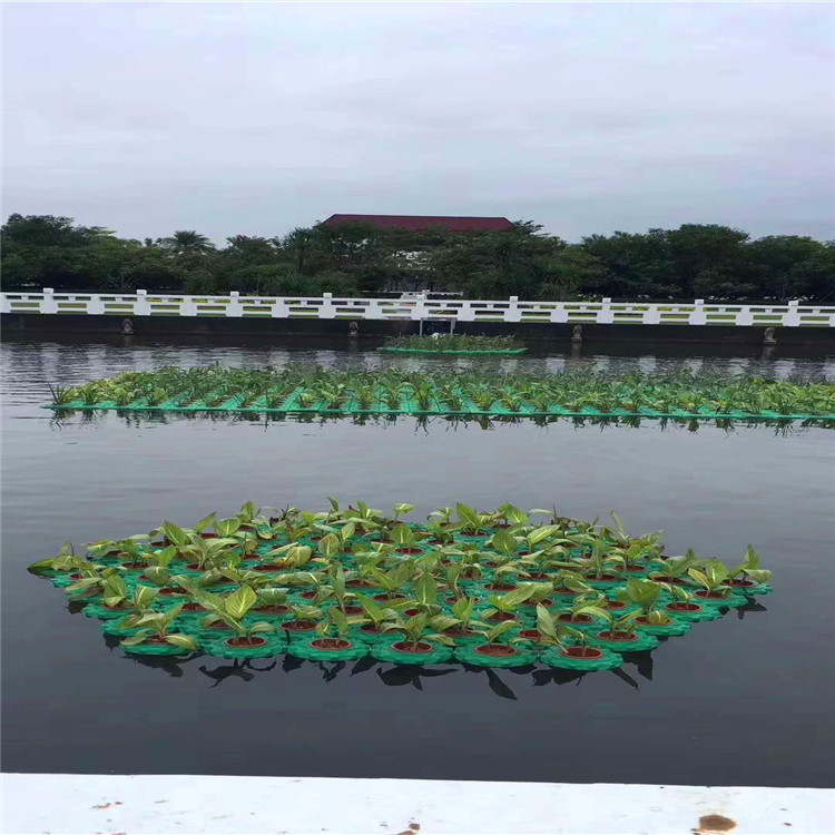 中连生态浮岛绿色环保浮岛水上种植广东厂家批发
