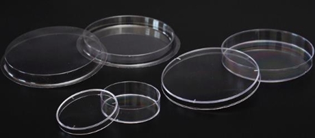 供应 一次性塑料培养皿90mm 细胞植物培养皿 实验室耗材