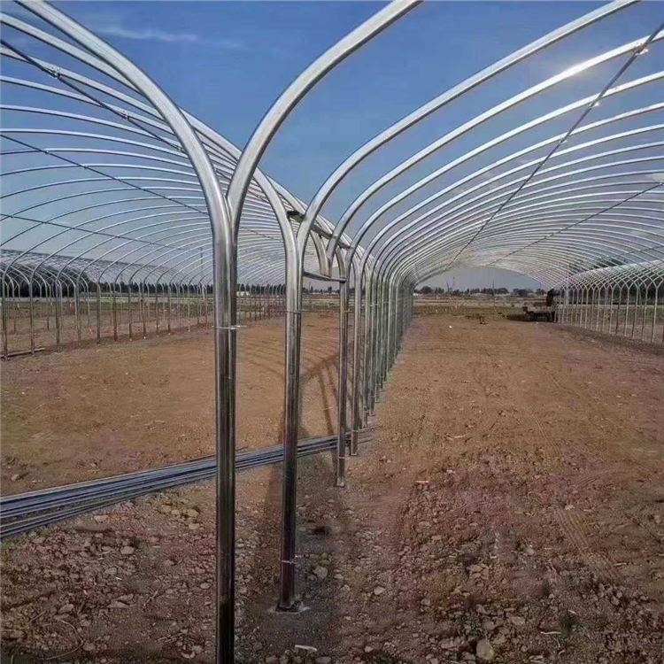 德宏草莓大棚连栋大棚设计