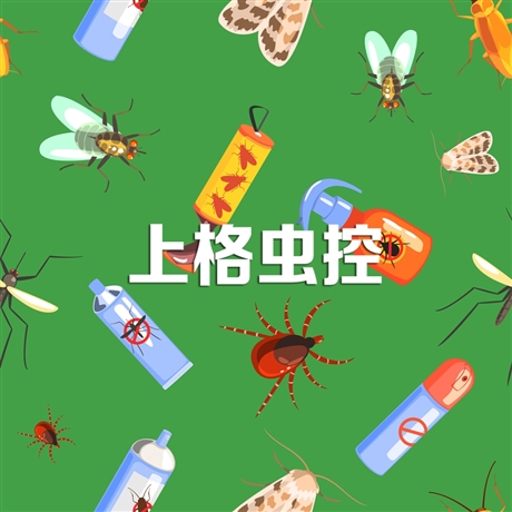 常州浴场杀白蚁 常州灭鼠公司谁家好 常州防鼠