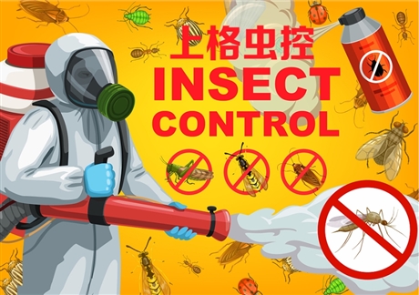 扬州单位消杀收费标准 扬州白蚂蚁电话 扬州的杀灭跳蚤