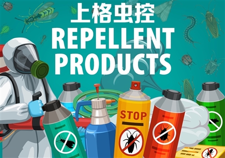 厦门pco消杀 厦门灭白蚁机构价格 厦门家里蚂蚁多怎么办