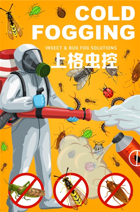 台州工厂杀虫 台州超市灭蟑螂价格 台州捕跳蚤公司