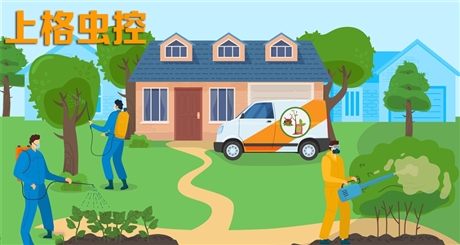 南通除虫 南通小区灭跳蚤 南通效果好灭蟑螂