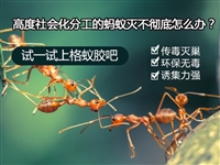 上海驱蟑螂，上海杀白蚁价格，上海工厂灭白蚁价格