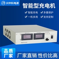 120V20A汽车电瓶充电器 车用智能脉冲修复快速充电机 一台起发