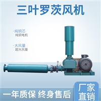 脱硫脱销罗茨风机 高压大功率鼓风机 长期供应 质量好